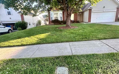Photo of Taushai I.'s yard after getting lawn care in Bessemer City, NC