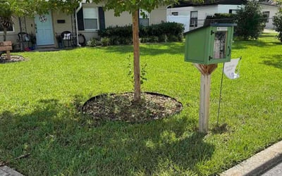 Photo of Steven F.'s yard after getting lawn care in Orlando, FL