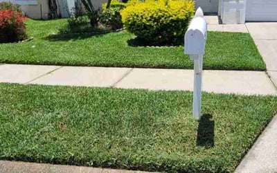 Photo of Leonard D.'s yard after getting lawn care in Indianapolis, IN