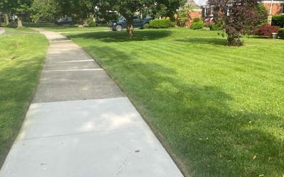 Photo of Jason L.'s yard after getting lawn care in Clovis, CA