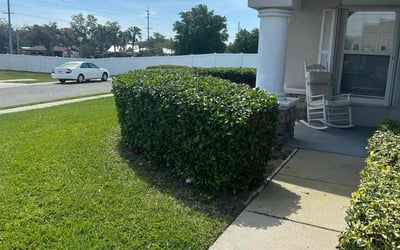 Photo of Steven K.'s yard after getting lawn care in Angleton, TX