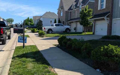 Photo of Josh B.'s yard after getting lawn care in Flagler Beach, FL