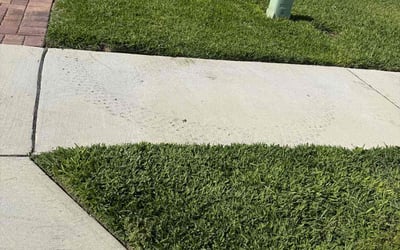 Photo of Jonathan G.'s yard after getting lawn care in Eustis, FL