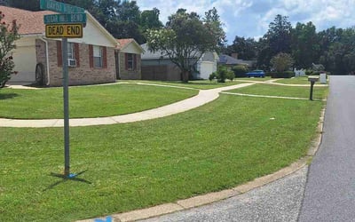 Photo of Debi F.'s yard after getting lawn care in Altamonte Springs, FL