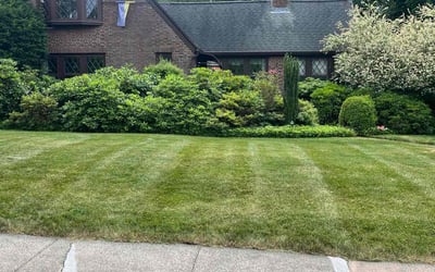 Photo of Trina d.'s yard after getting lawn care in Hamden, CT