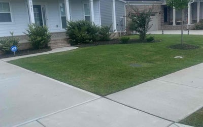 Photo of Shatara B.'s yard after getting lawn care in Bessemer, AL
