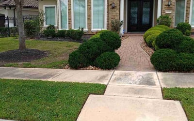 Photo of Tara C.'s yard after getting lawn care in Vidor, TX
