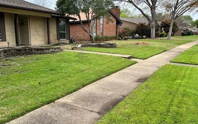 Photo of Rebecca S.'s yard after getting lawn care in Garland, TX
