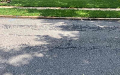 Photo of Jess F.'s yard after getting lawn care in Paramus, NJ