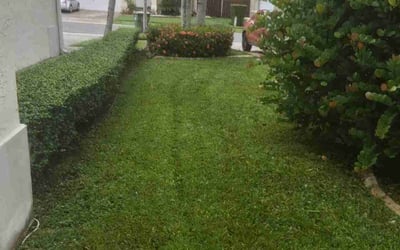 Photo of Eric G.'s yard after getting lawn care in Miamisburg, OH