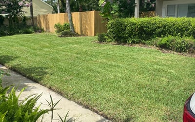 Photo of Rosy Natasha P.'s yard after getting lawn care in Woodhaven, NY