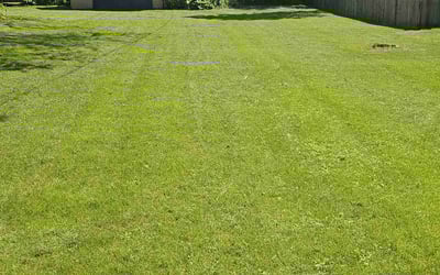 Photo of mary f.'s yard after getting lawn care in Glendale, WI