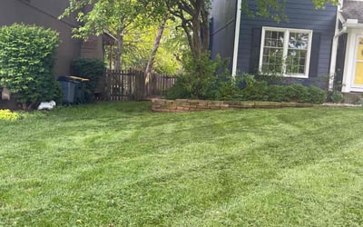 Photo of Jose U.'s yard after getting lawn care in Eagle Mountain, UT