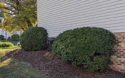 Photo of Frank C.'s yard after getting lawn care in Millville, NJ