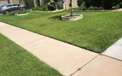 Photo of Beverly M.'s yard after getting lawn care in Quinlan, TX