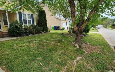 Photo of Palak P.'s yard after getting lawn care in Crofton, MD