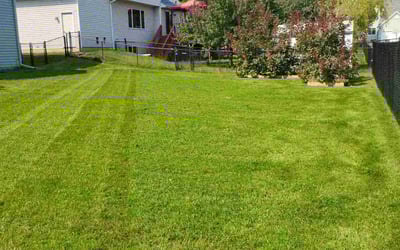Photo of Kayla B.'s yard after getting lawn care in Rosemount, MN