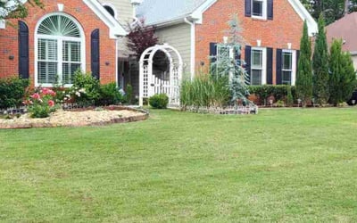 Photo of Jerimy N.'s yard after getting lawn care in Roy, UT