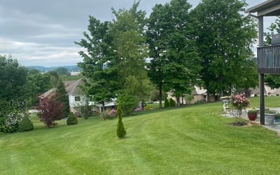 Photo of Kathryn W.'s yard after getting lawn care in Latrobe, PA