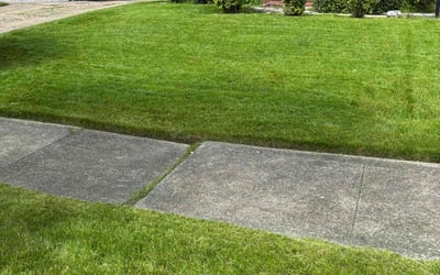 Photo of Mark D.'s yard after getting lawn care in Broadview Heights, OH