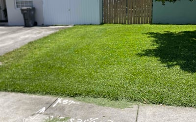 Photo of Brandon S.'s yard after getting lawn care in Portland, OR