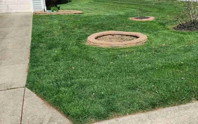 Photo of Sarah B.'s yard after getting lawn care in Laurel, DE