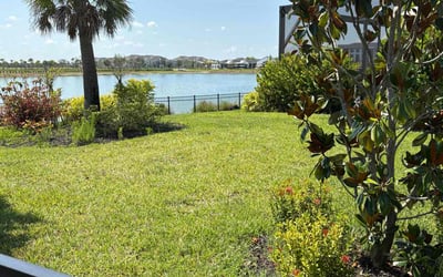 Photo of Brian F.'s yard after getting lawn care in Austin, TX