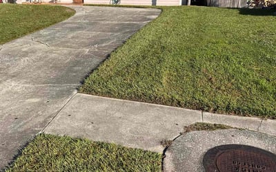 Photo of Sarah R.'s yard after getting lawn care in Auburn, AL