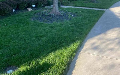 Photo of Caryn W.'s yard after getting lawn care in Great Falls, VA