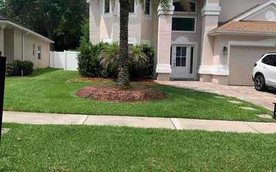 Photo of Eric G.'s yard after getting lawn care in Easley, SC