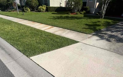 Photo of Fave M.'s yard after getting lawn care in Lawrence, MA