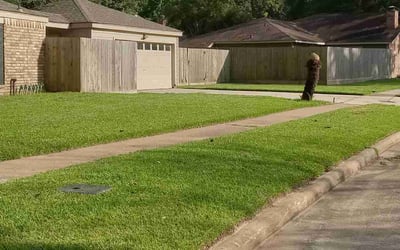 Photo of Judi A.'s yard after getting lawn care in Northridge, CA
