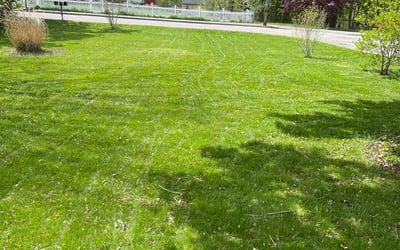 Photo of Robert F.'s yard after getting lawn care in Sharon, MA