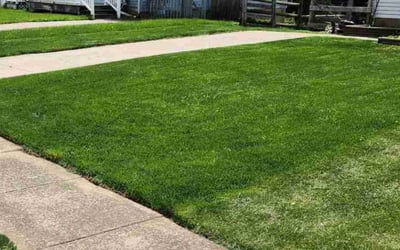 Photo of Kashif R.'s yard after getting tree care in Mount Airy, MD