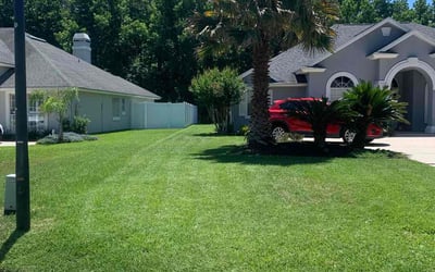 Photo of Jason M.'s yard after getting lawn care in New York, NY