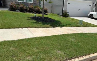 Photo of Karen D.'s yard after getting lawn care in Burlington, MA