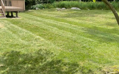 Photo of Erik l.'s yard after getting lawn care in Hillsborough, NJ