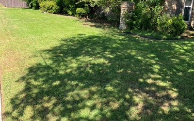 Photo of Zaneta B.'s yard after getting lawn care in Garfield, NJ