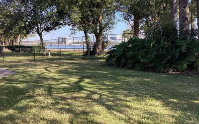 Photo of Anita W.'s yard after getting lawn care in World Golf Village, FL