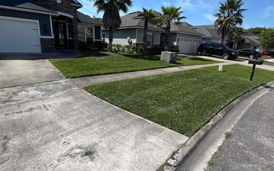 Photo of Sandi A.'s yard after getting lawn care in Jacksonville, FL