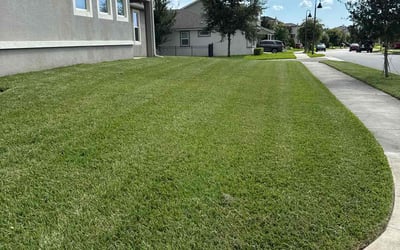 Photo of Robert M.'s yard after getting lawn care in Evans, GA