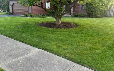 Photo of Frederic H.'s yard after getting lawn care in Arlington Heights, IL