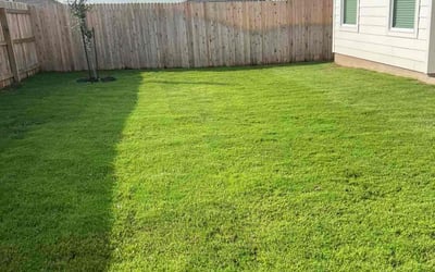 Photo of Joni L.'s yard after getting lawn care in Lanham, MD