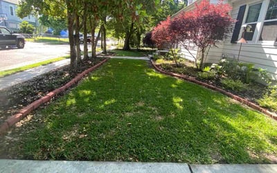 Photo of Shawn B.'s yard after getting lawn care in New Orleans, LA