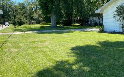 Photo of Adam B.'s yard after getting lawn care in Denham Springs, LA