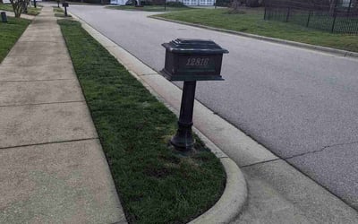 Photo of Ethan F.'s yard after getting lawn care in Knightdale, NC