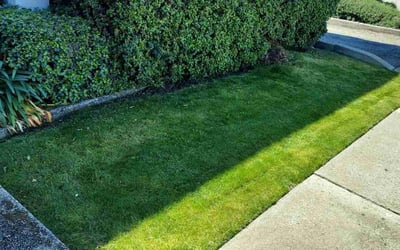 Photo of Dakota S.'s yard after getting lawn care in Pittsburg, CA