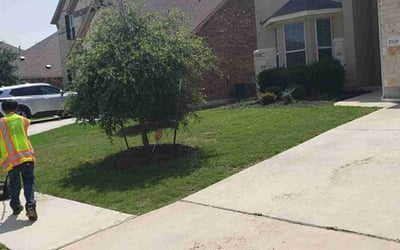 Photo of Aaron W.'s yard after getting lawn care in North Versailles, PA