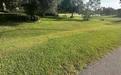 Photo of Tj A.'s yard after getting lawn care in Red Bank, NJ
