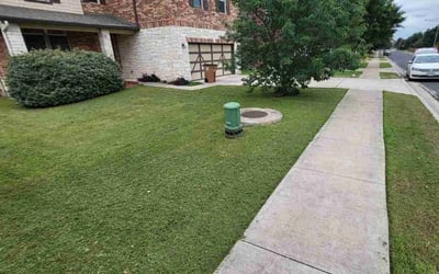 Photo of Frederick F.'s yard after getting lawn care in Rancho Palos Verdes, CA
